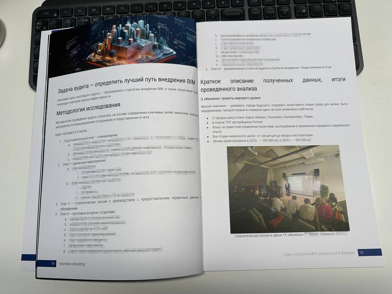 Внешний вид отчета по аудиту и сформированной стратегии развития